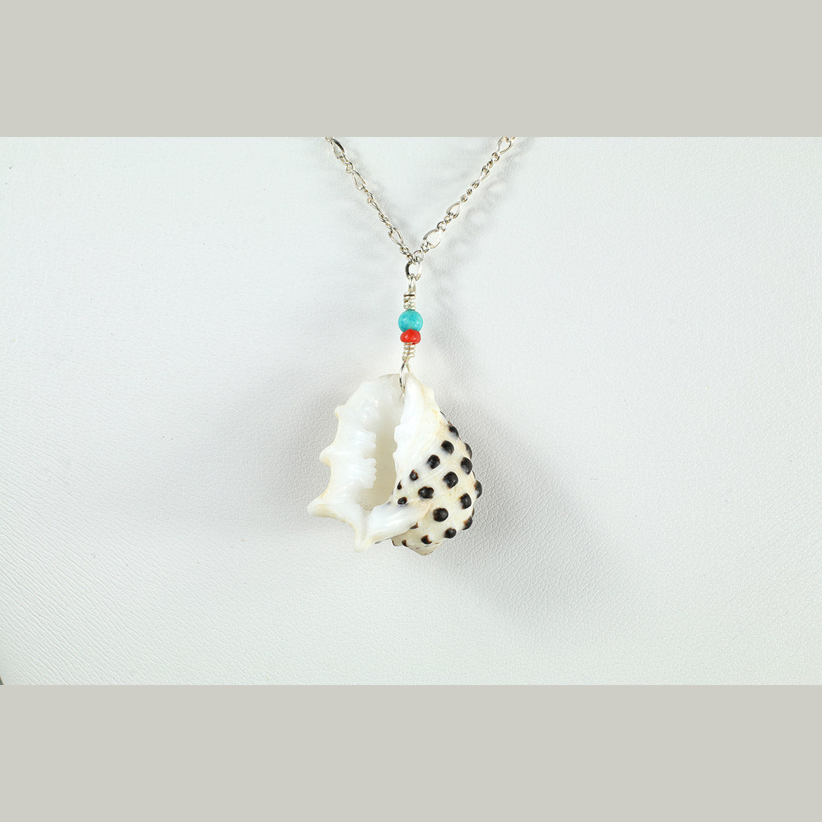 Hawaiian Spotted Spider Drupe Shell Necklace