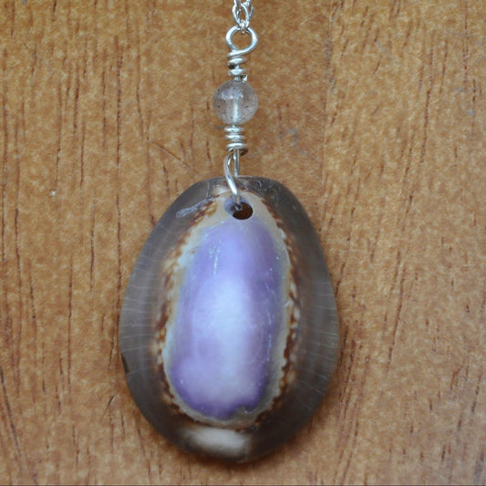 Hawaiian Cowery Shell with Labradorite on Sterling Silver Chain