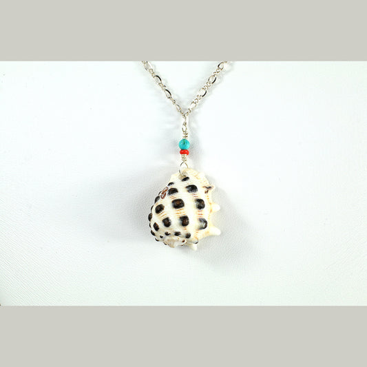 Hawaiian Spotted Spider Drupe Shell Necklace