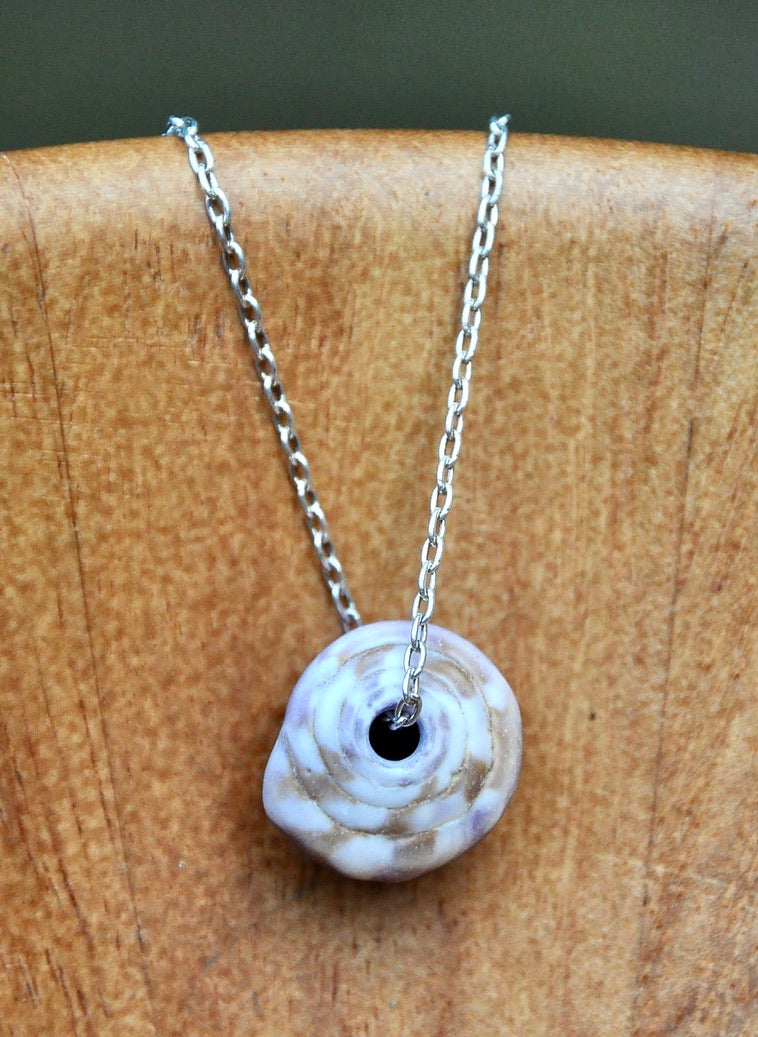 Natural Hawaiian Cowery Shell on Sterling Silver Chain