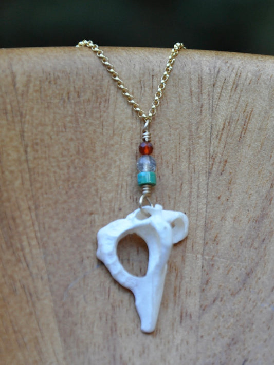 Genuine Hawaiian Murex Shell with Turquoise, Carnelian and Labradorite on Gold Filled Chain